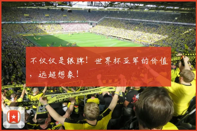 不仅仅是银牌！世界杯亚军的价值，远超想象！